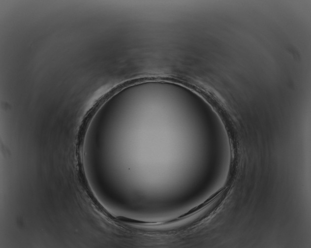 X0000091001168200708021554