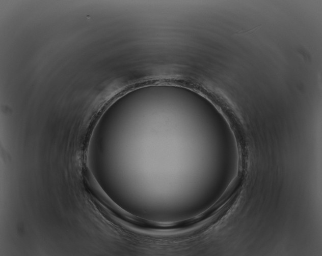X0000091001169200708021554