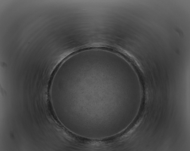X0000091001170200708021554