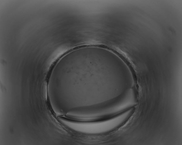X0000091001171200708021554
