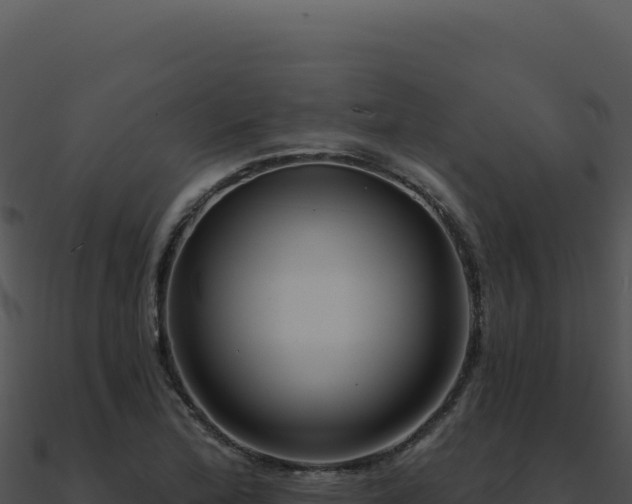 X0000091001172200708021554