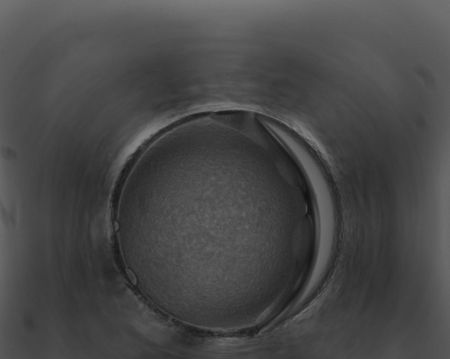 X0000091001173200708021554