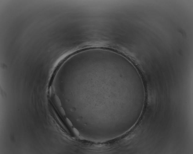 X0000091001174200708021554