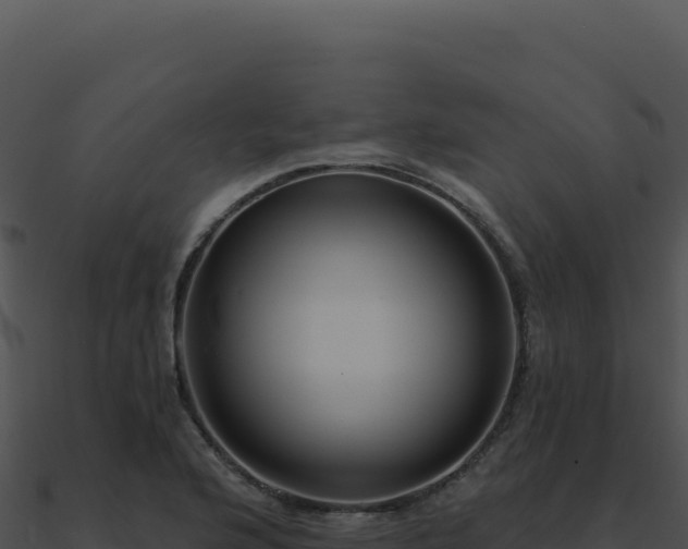 X0000091001176200708021554