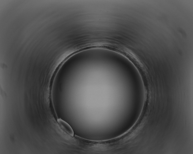 X0000091001178200708021554