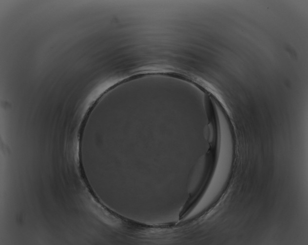 X0000091001179200708021554
