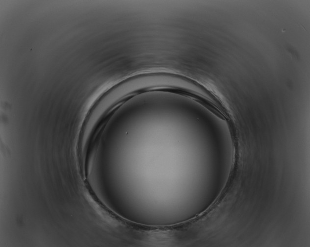 X0000091001181200708021554