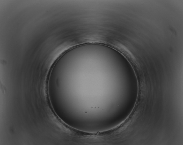 X0000091001182200708021554