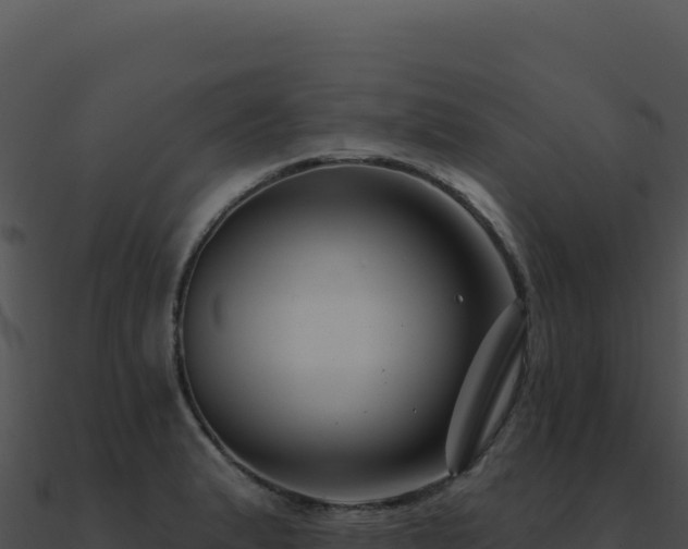 X0000091001183200708021554