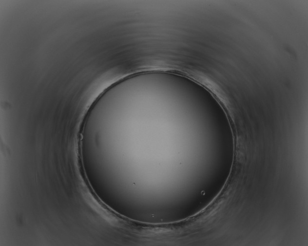 X0000091001187200708021554