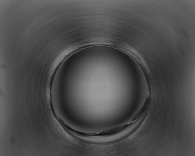 X0000091001188200708021554