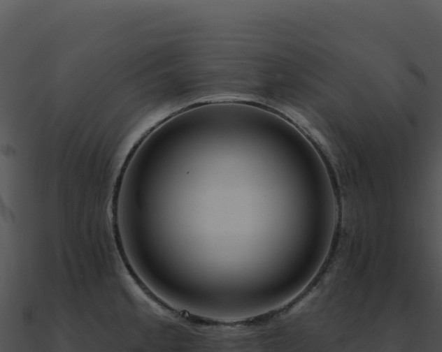 X0000091001189200708021554