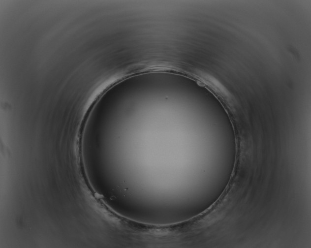 X0000091001190200708021554