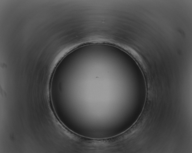 X0000091001191200708021554