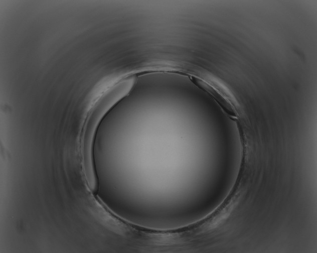 X0000091001192200708021554