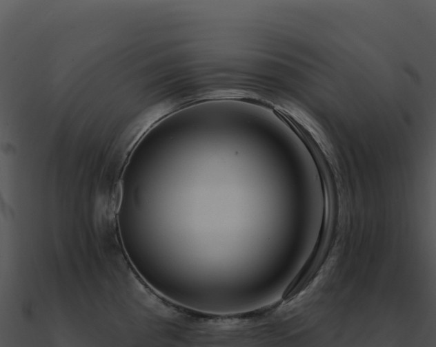 X0000091001193200708021554