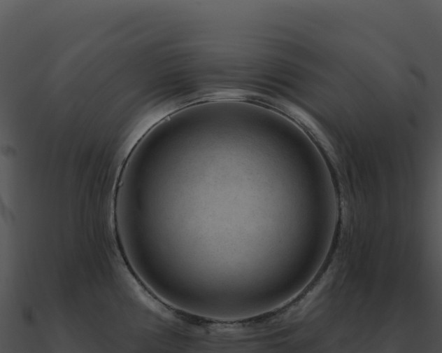X0000091001194200708021554