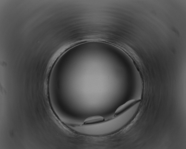 X0000091001196200708021554