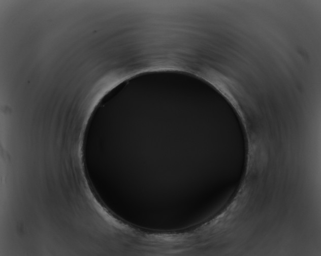 X0000091001197200708021554