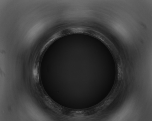 X0000091001198200708021554