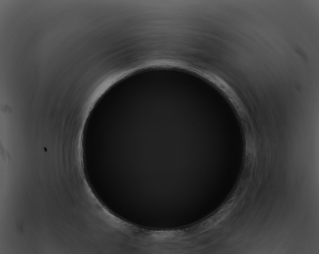 X0000091001199200708021554