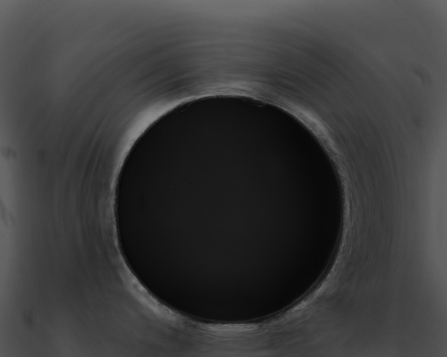 X0000091001200200708021554