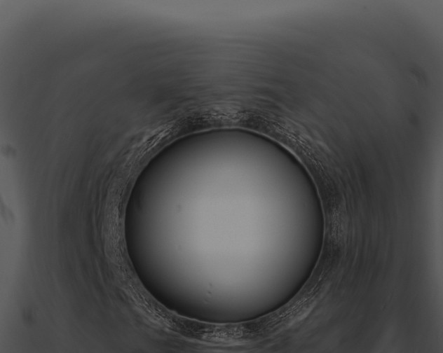 X0000091001201200708021553
