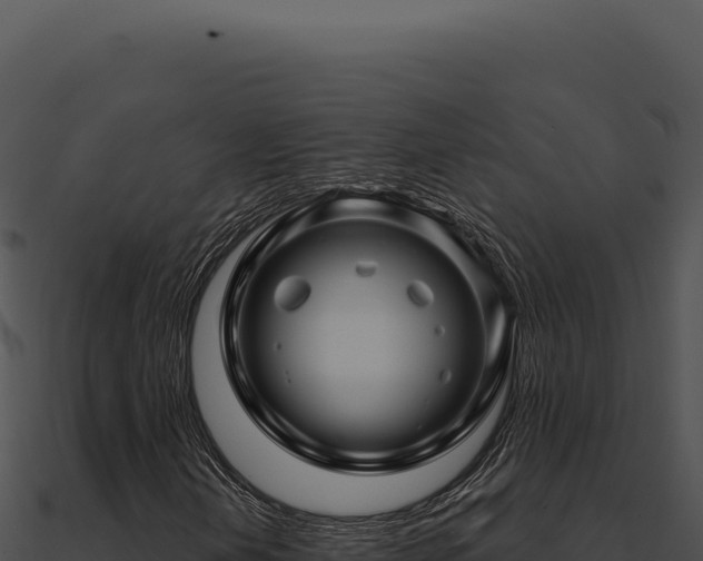 X0000091001202200708021553