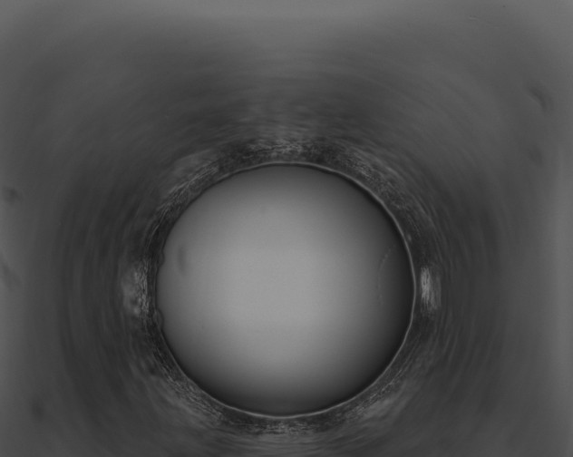 X0000091001203200708021553