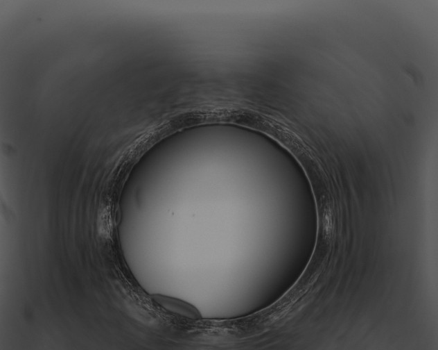 X0000091001204200708021553