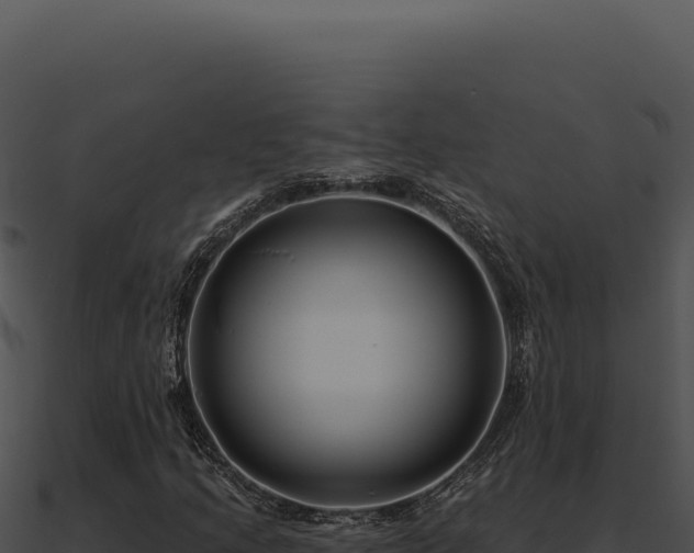 X0000091001205200708021553