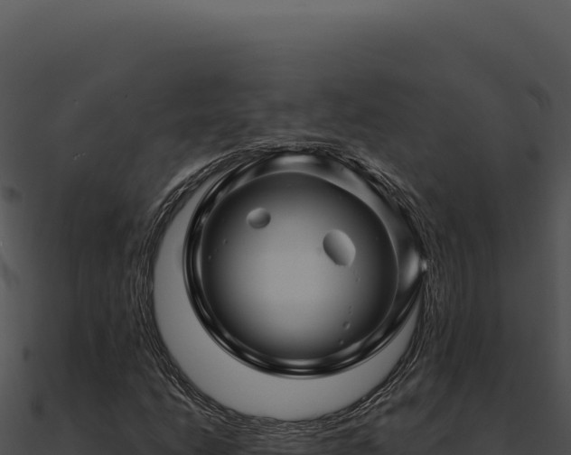 X0000091001206200708021553