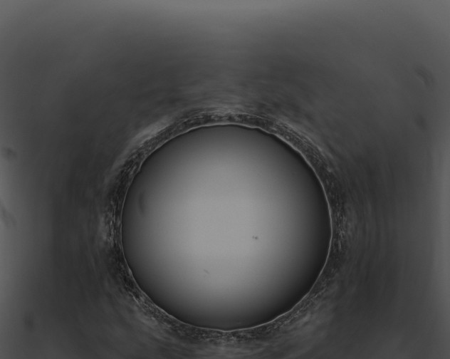 X0000091001207200708021553