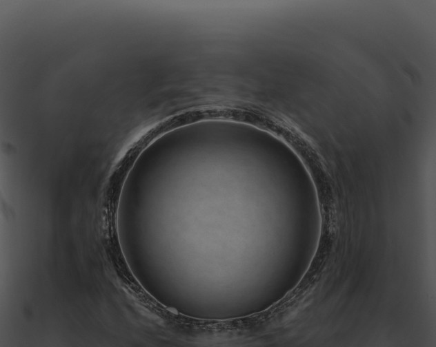 X0000091001208200708021553