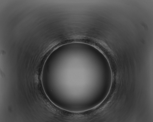 X0000091001209200708021553