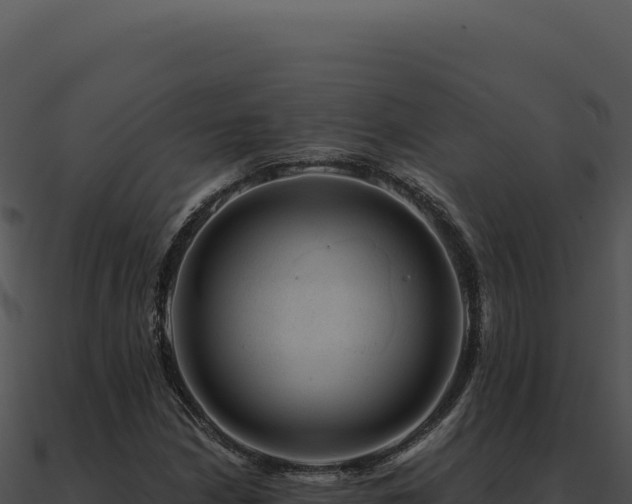 X0000091001210200708021553