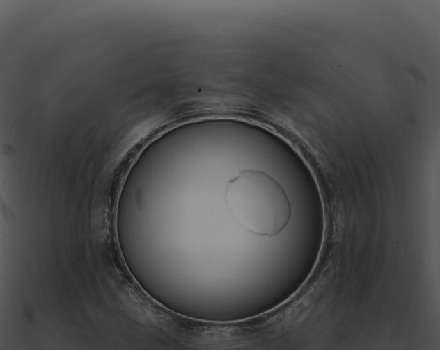 X0000091001211200708021553