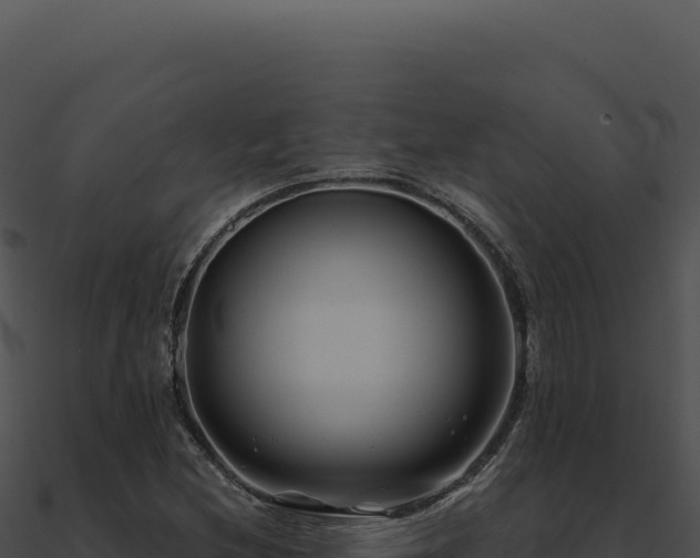 X0000091001212200708021553
