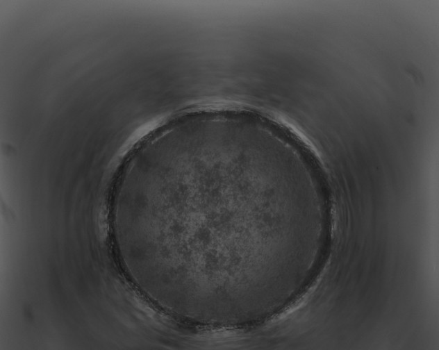 X0000091001213200708021553