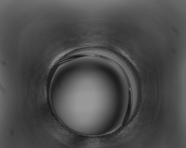 X0000091001214200708021553
