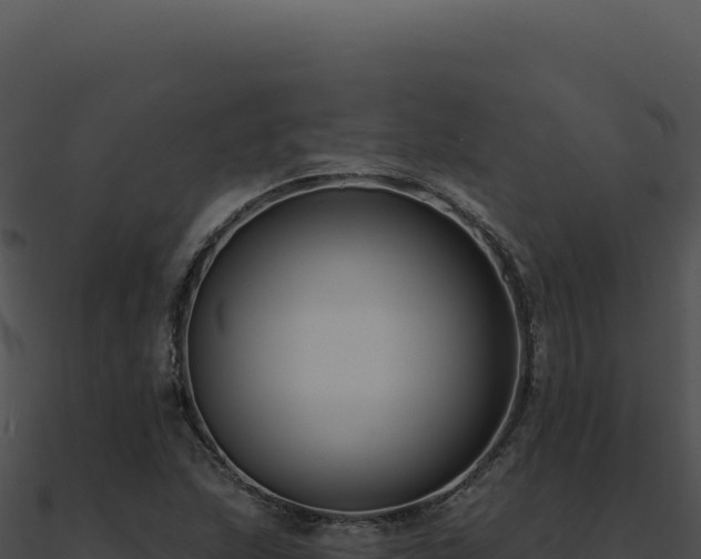 X0000091001215200708021553