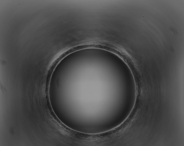 X0000091001216200708021553