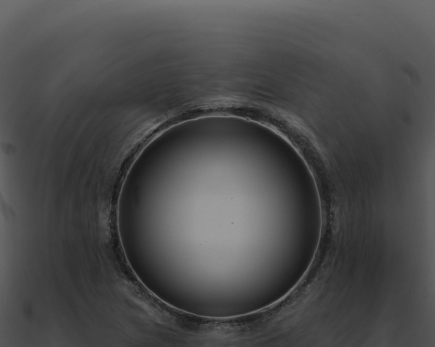 X0000091001217200708021553