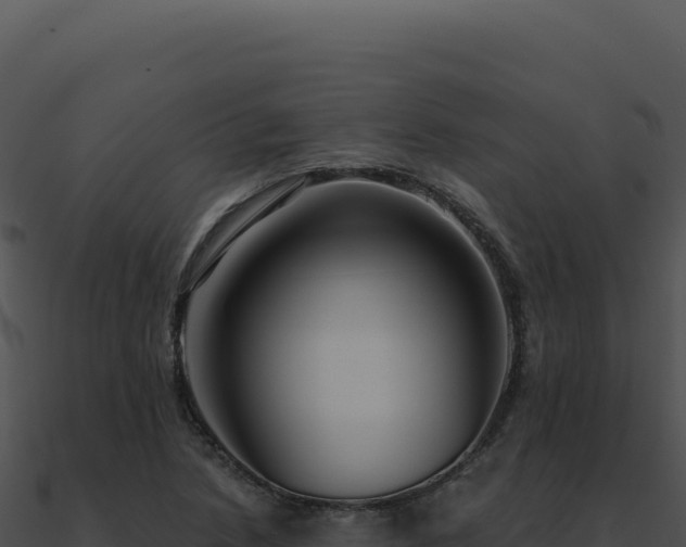 X0000091001218200708021553