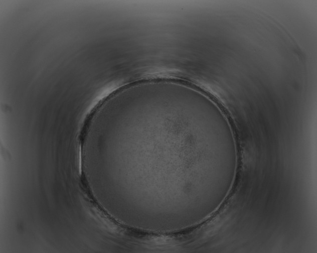 X0000091001219200708021553