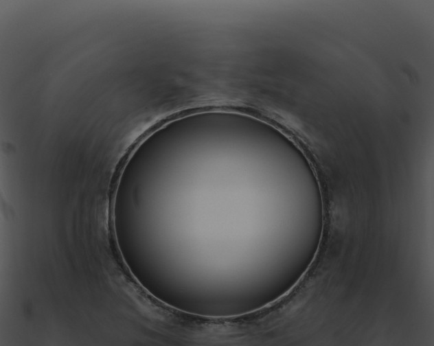 X0000091001220200708021553