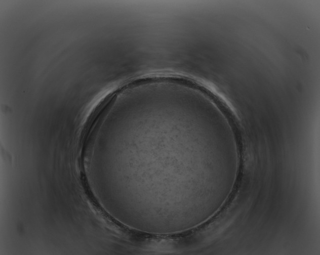 X0000091001221200708021553
