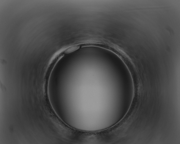 X0000091001222200708021553
