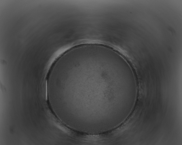 X0000091001223200708021553