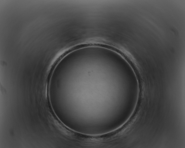 X0000091001224200708021553